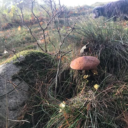 Urlaub Am Plätlinsee - Haus Elisa * Wustrow (Mecklenburg-Strelitz)
