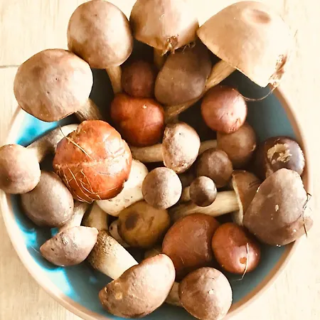 Ferienhaus Urlaub Am Plätlinsee - Haus Elisa