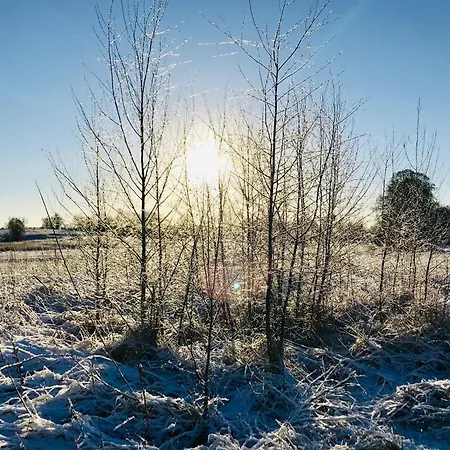 Urlaub Am Plätlinsee - Haus Elisa Ferienhaus Wustrow (Mecklenburg-Strelitz)